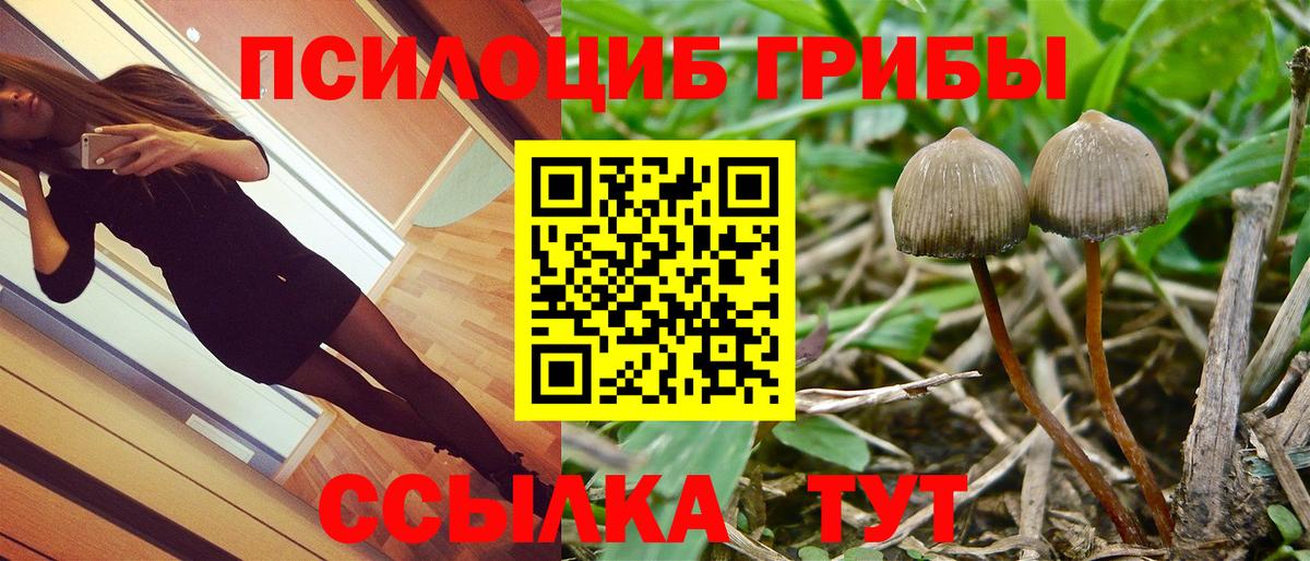 Псилоцибиновые грибы MAGIC MUSHROOMS  Вход с VPN  Нововоронеж 