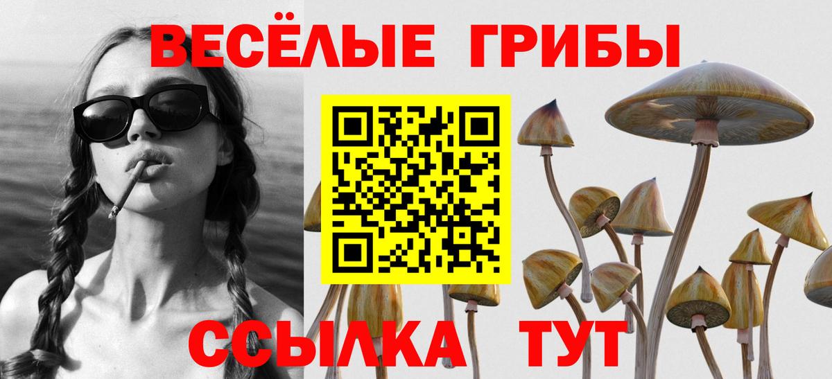 Галлюциногенные грибы Magic Shrooms Нововоронеж